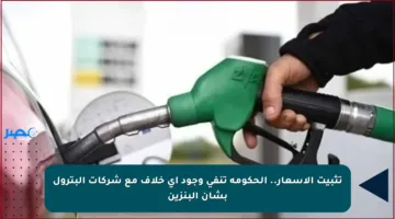 تثبيت الأسعار.. الحكومة تنفي وجود أي خلاف مع شركات البترول بشأن البنزين